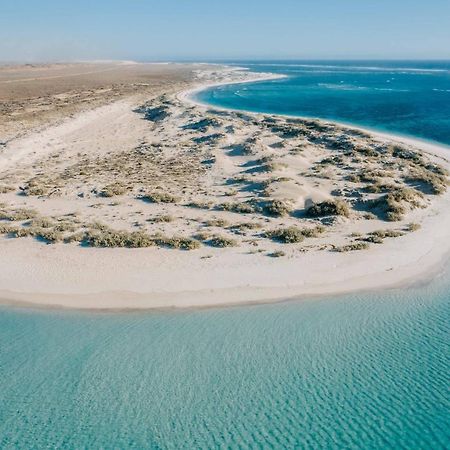 Gnaraloo Station - Homestead Carnarvon Dış mekan fotoğraf