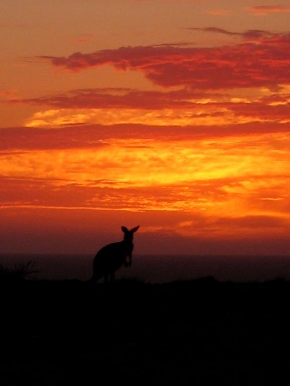 Gnaraloo Station - Homestead Carnarvon Dış mekan fotoğraf