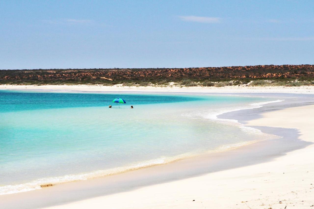 Gnaraloo Station - Homestead Carnarvon Dış mekan fotoğraf